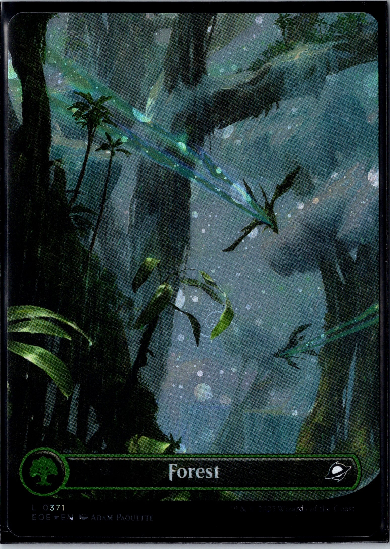 Forest (0371) (Borderless) (Galaxy Foil) Edge of Eternities #371